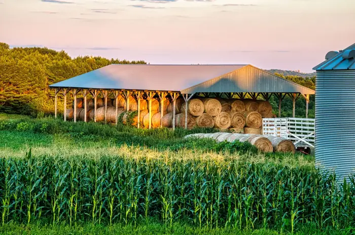 Hay & Livestock Barns - Springfield MO Hay & Livestock Barns in Springfield MO